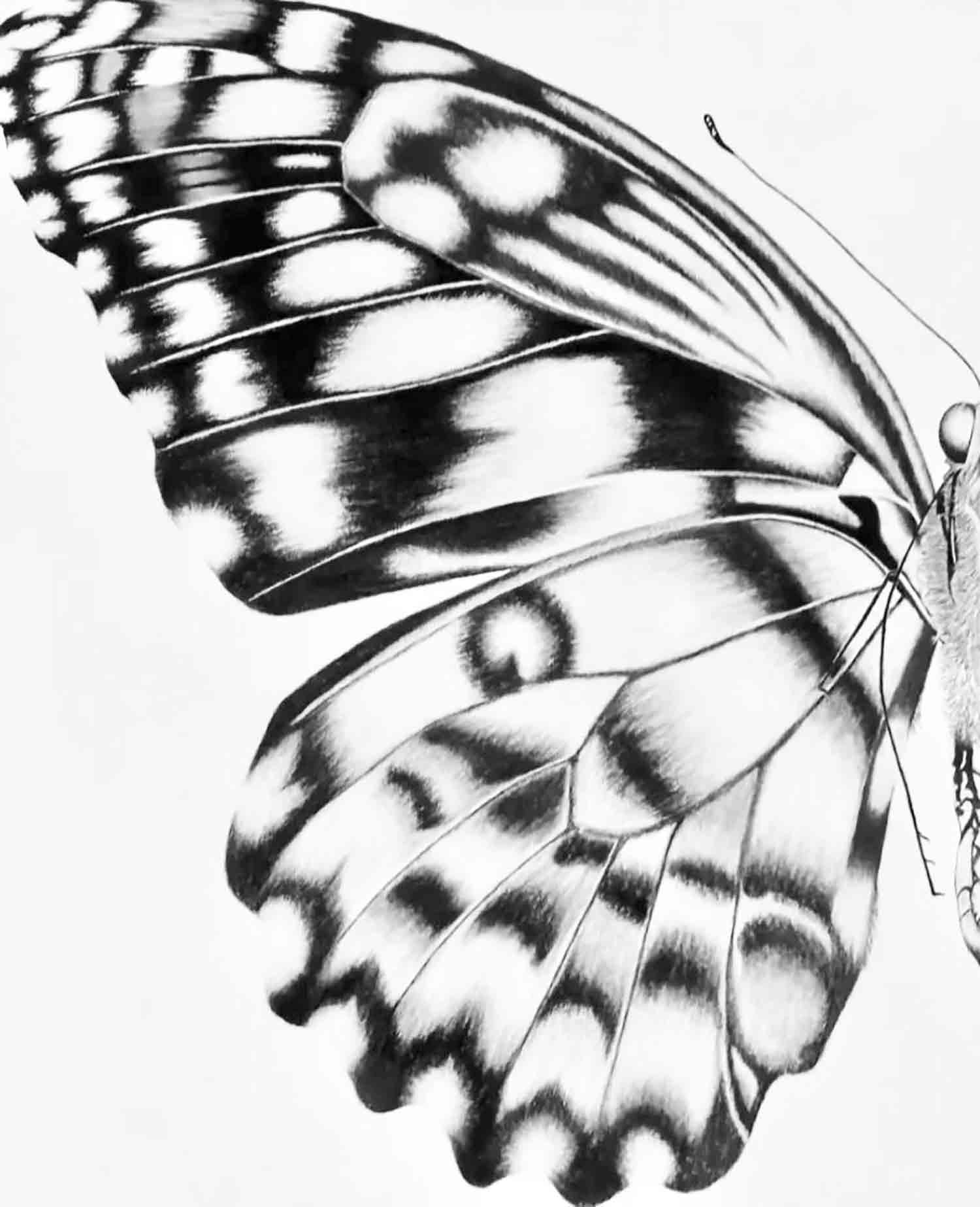 J.ATN, Renaissance, dessin - Galerie de vente et d’achat d’art contemporain en ligne Artalistic