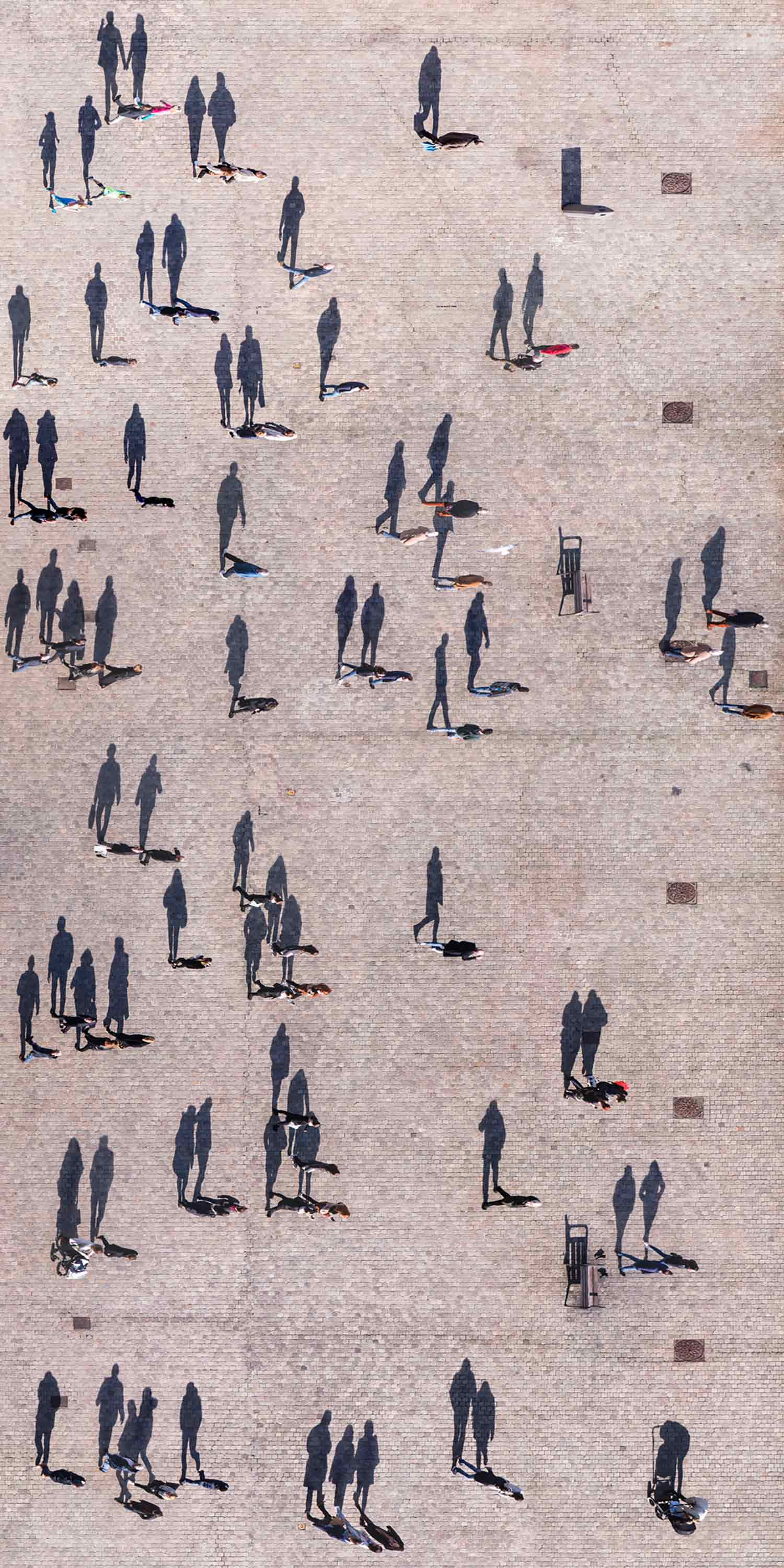 Werner Roelandt, Massive shadows, edition - Artalistic online contemporary art buying and selling gallery