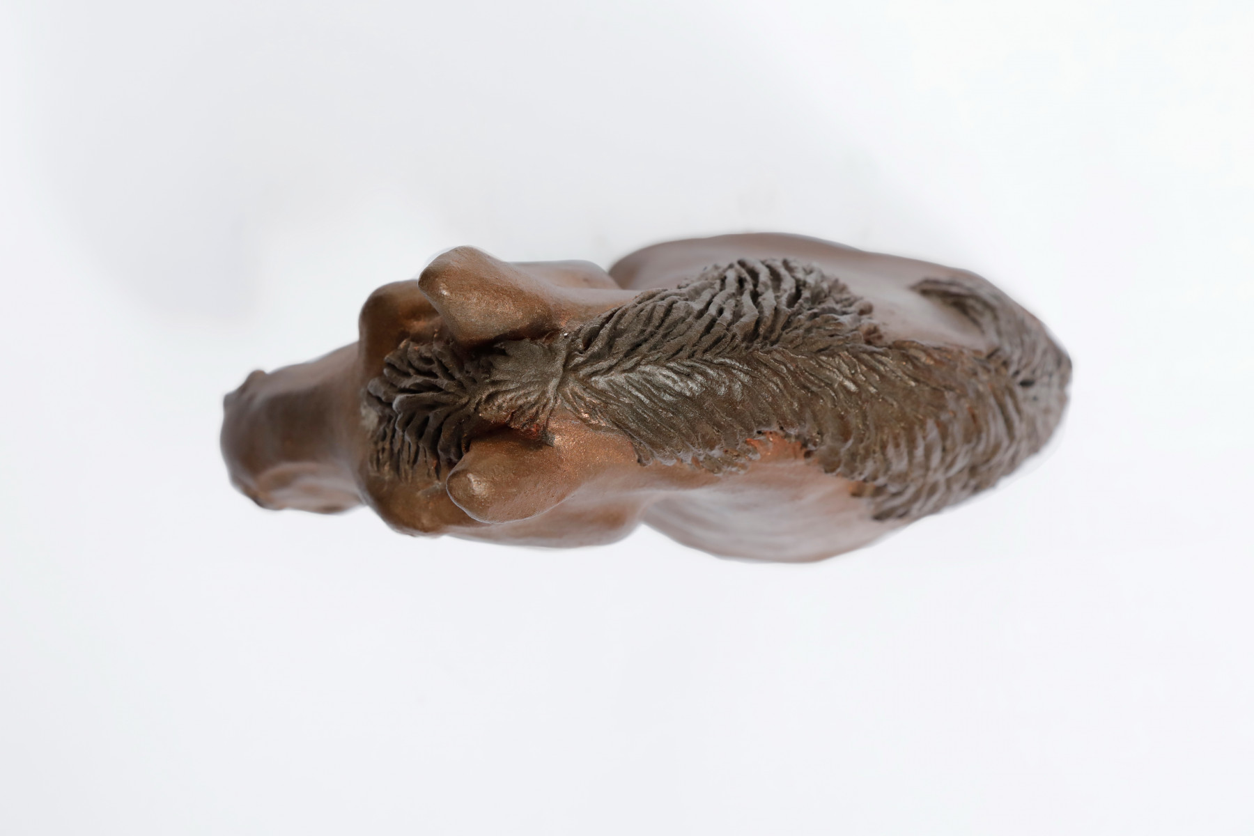 Véronique Fournier, Tête de cheval, sculpture - Galerie de vente et d’achat d’art contemporain en ligne Artalistic