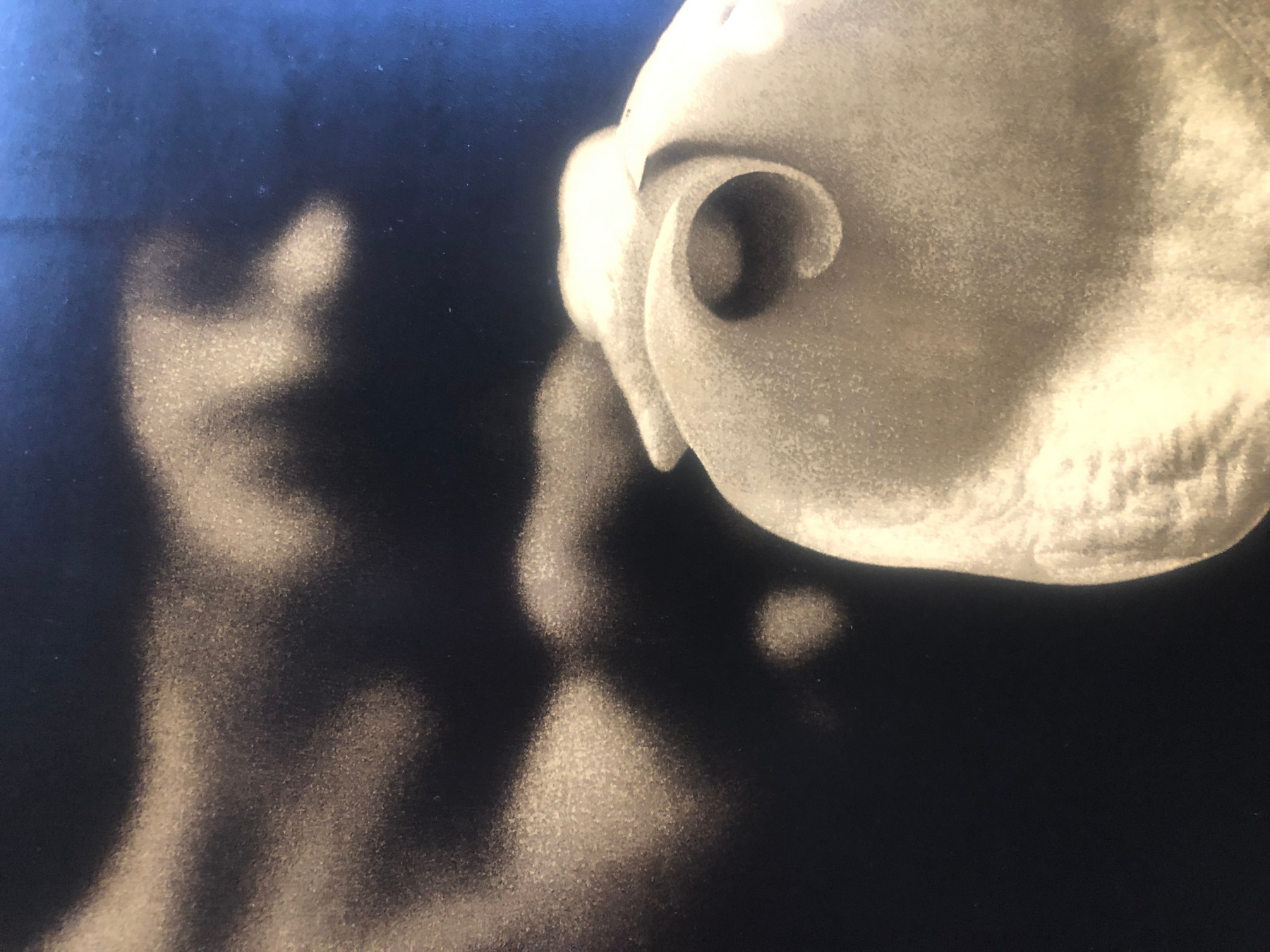 Massimo Attardi, Nudo con giglio, photo - Galerie de vente et d’achat d’art contemporain en ligne Artalistic