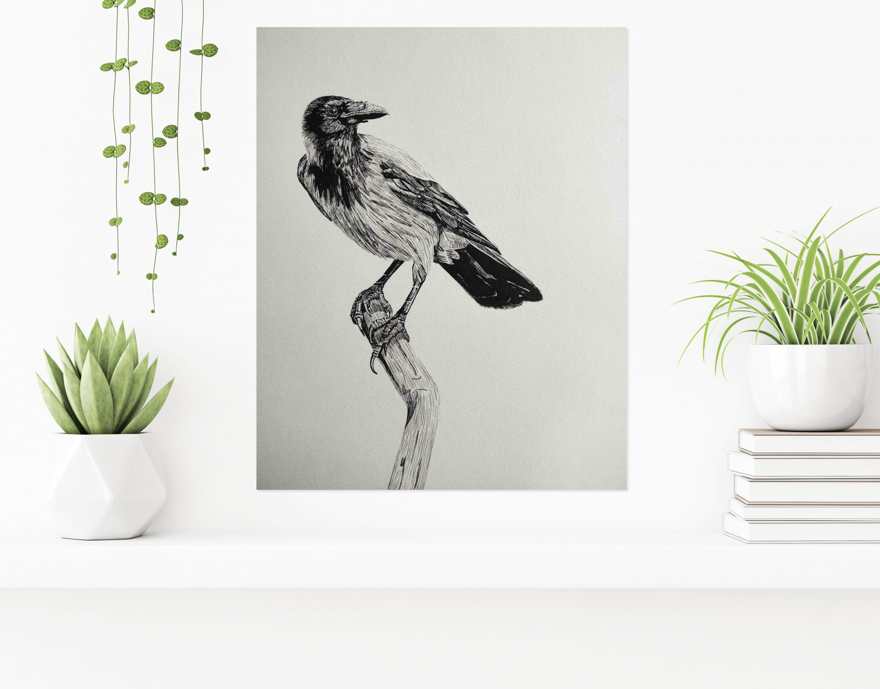 Lucile Maury, Corbeau gris, dessin - Galerie de vente et d’achat d’art contemporain en ligne Artalistic