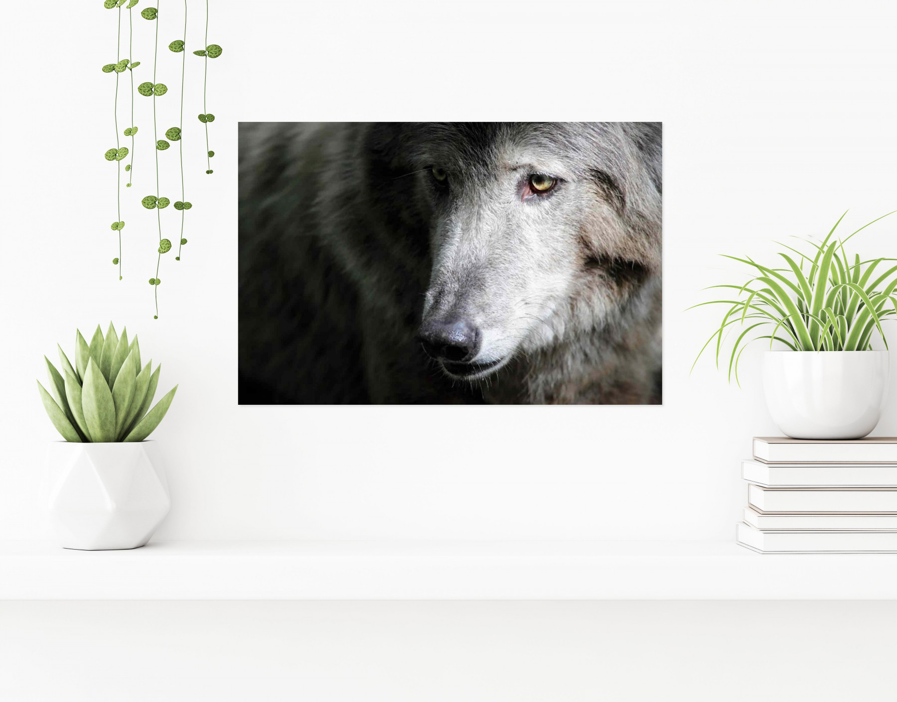 Véronique Fournier, wolf, photo - Galerie de vente et d’achat d’art contemporain en ligne Artalistic