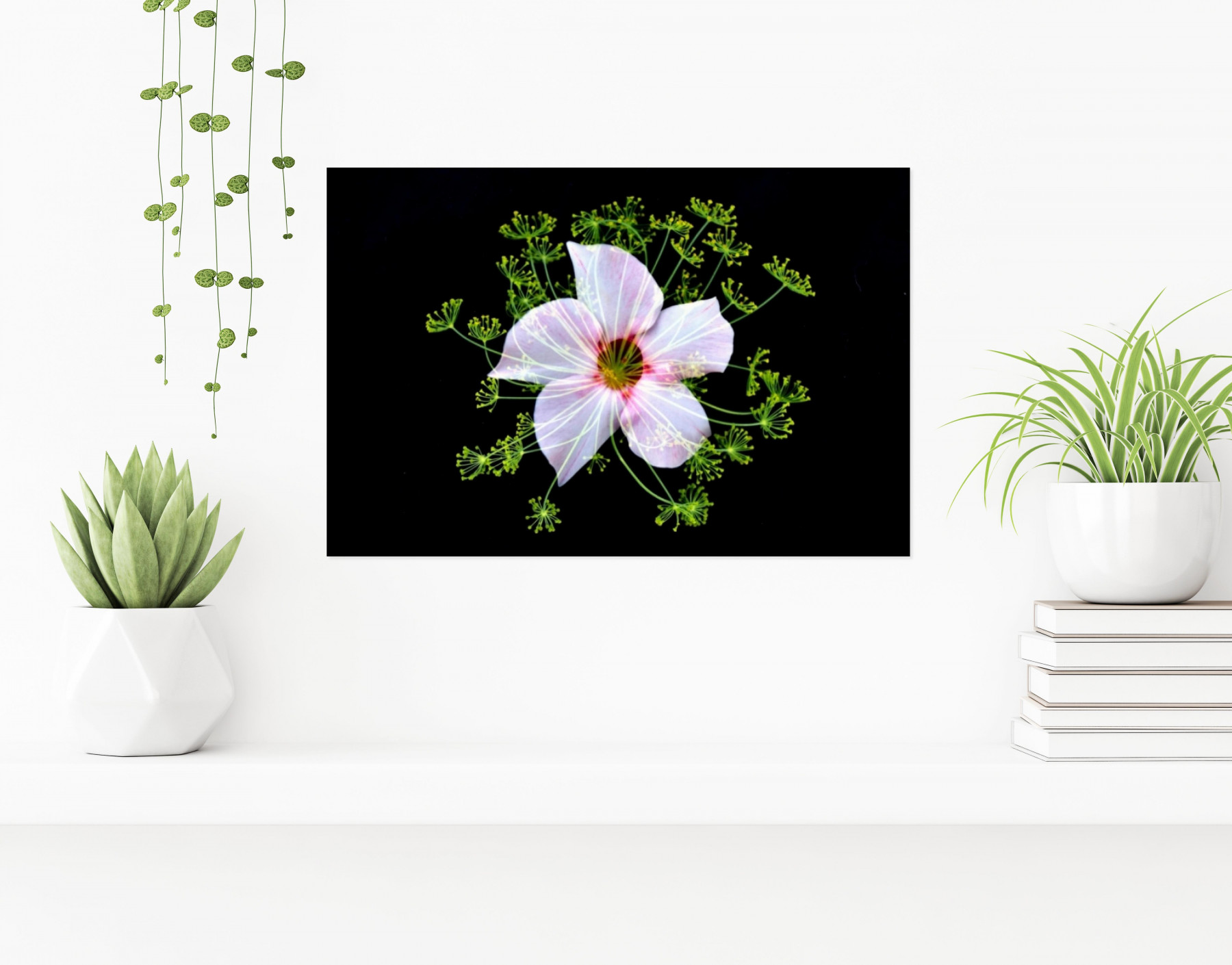 Jelena Rakin, Emanation du pentagramme, photo - Galerie de vente et d’achat d’art contemporain en ligne Artalistic