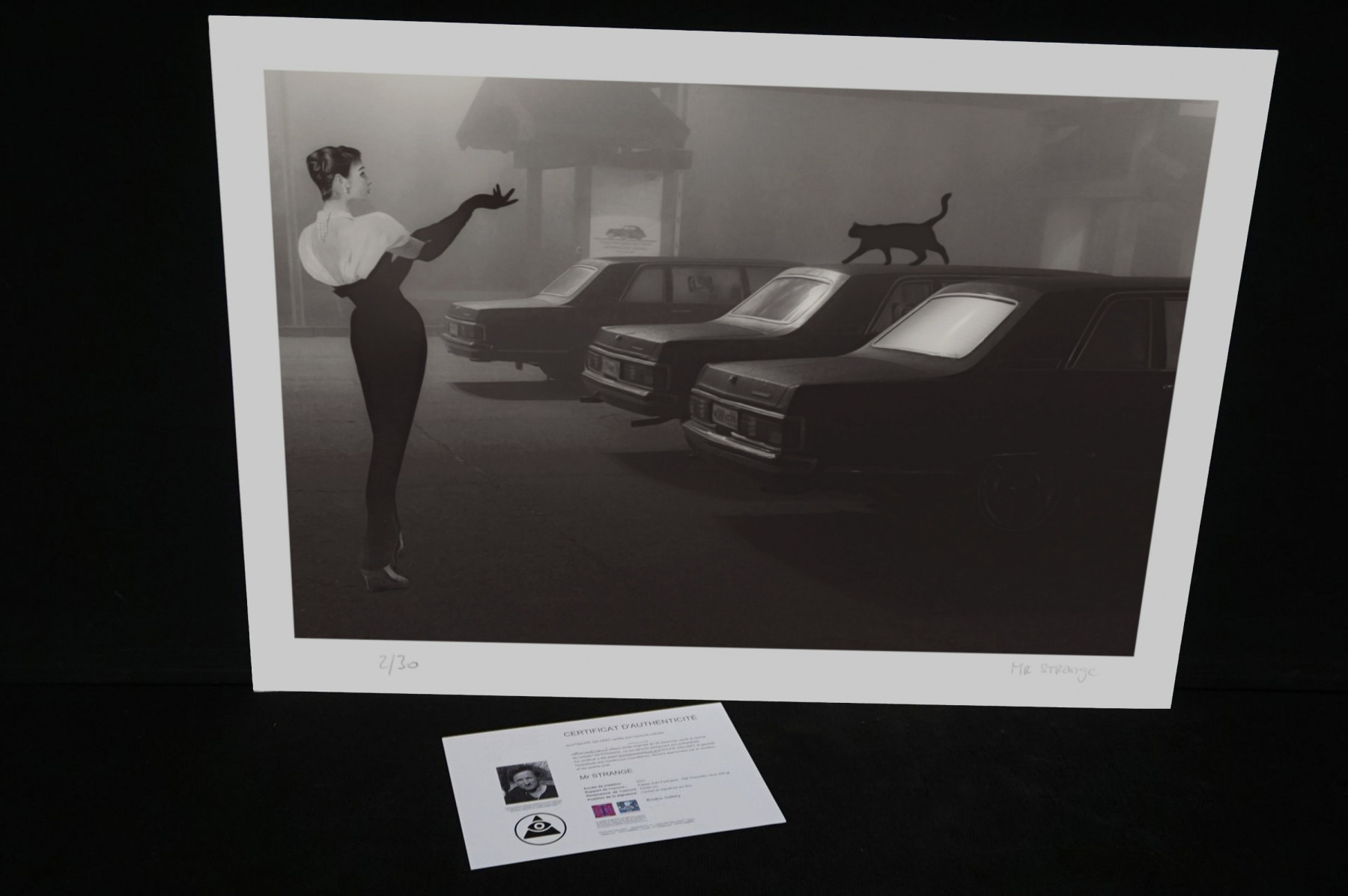 Mr Strange, Olga et son chat, edition - Galerie de vente et d’achat d’art contemporain en ligne Artalistic