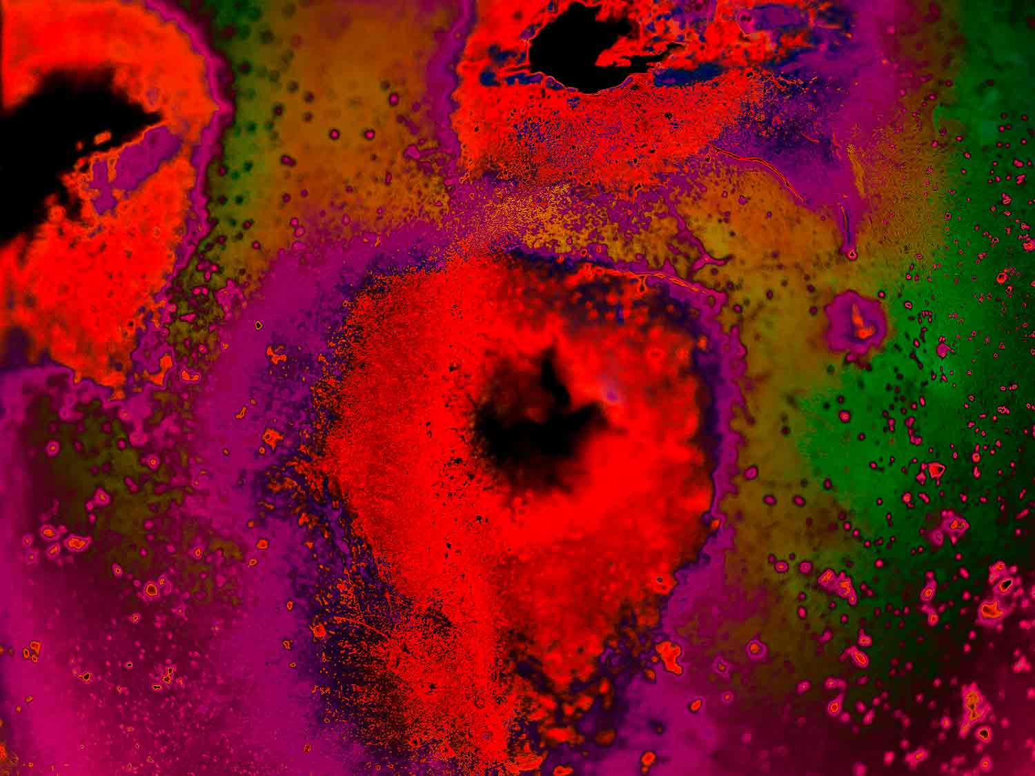 Jan Pincemaille, Les coquelicots, peinture - Galerie de vente et d’achat d’art contemporain en ligne Artalistic