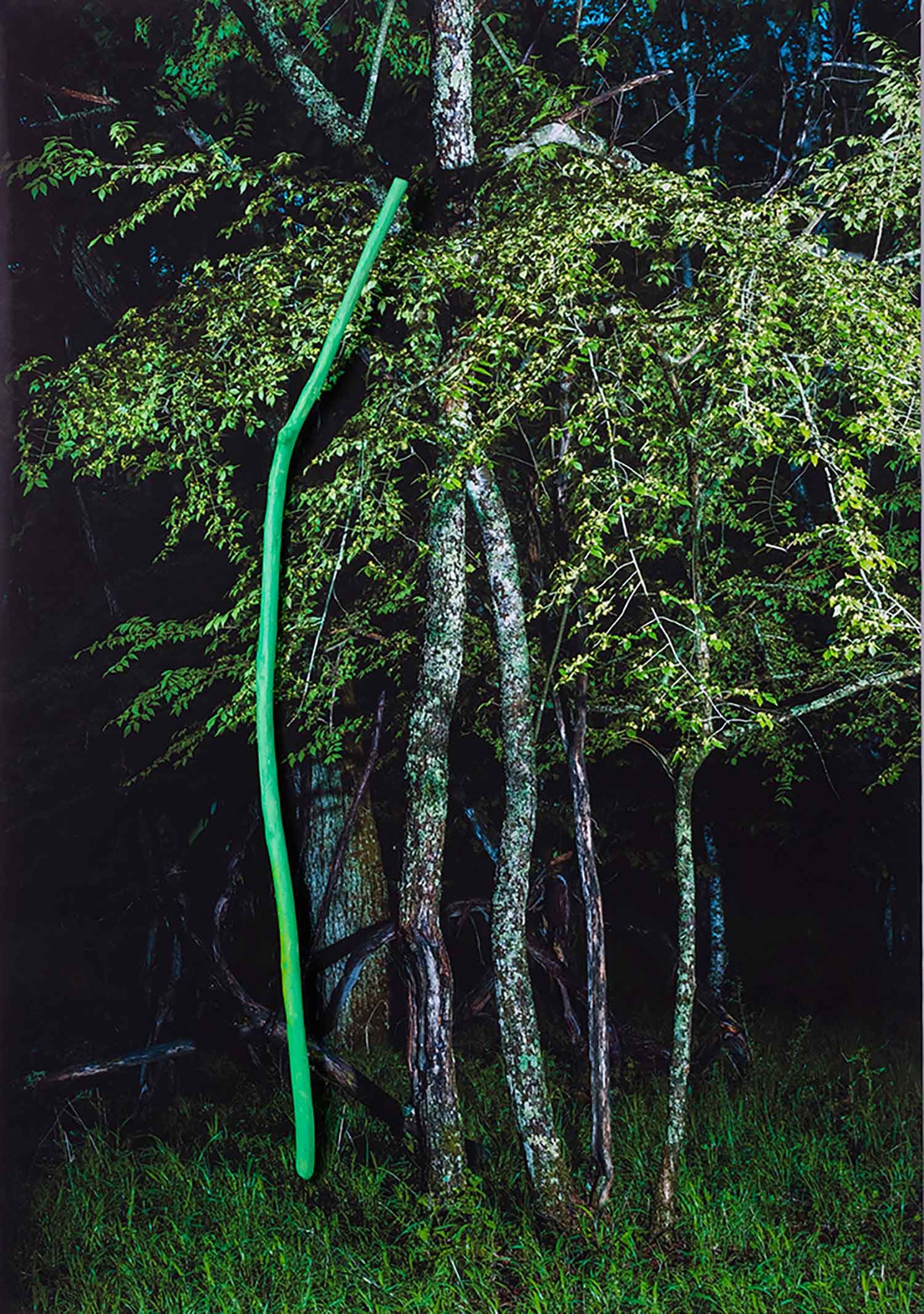 Yasuo Kiyonaga, Real 02, photo - Galerie de vente et d’achat d’art contemporain en ligne Artalistic