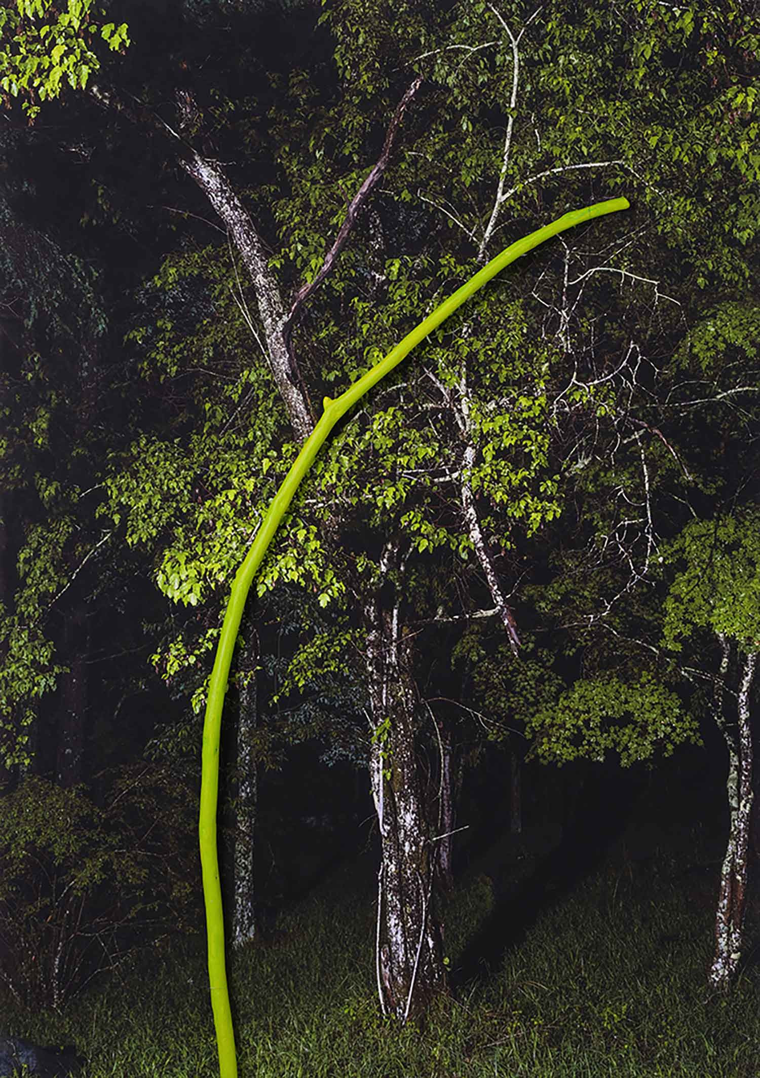 Yasuo Kiyonaga, Real 03, photo - Galerie de vente et d’achat d’art contemporain en ligne Artalistic