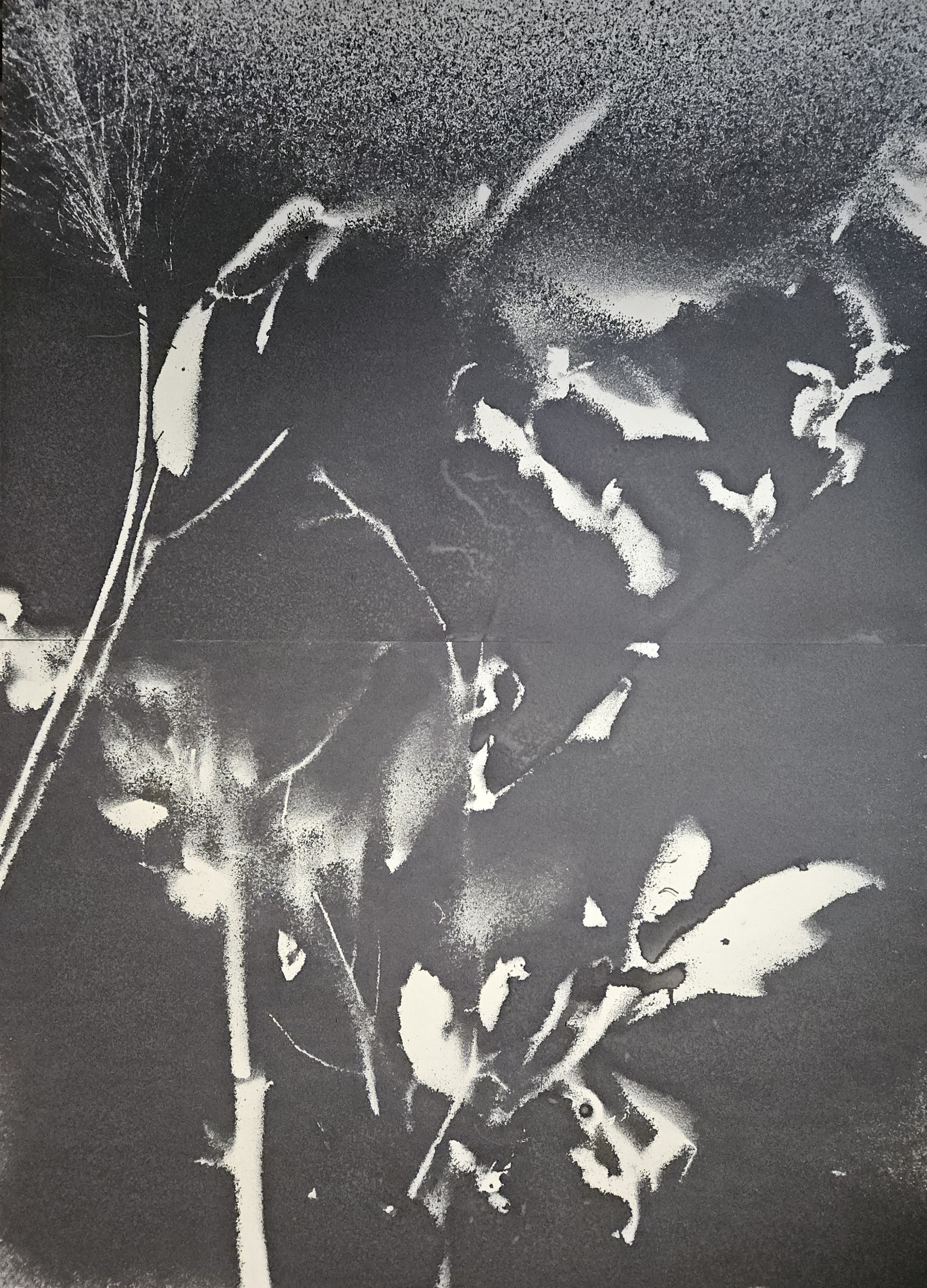 Stefano Mazzolini, RF3334, peinture - Galerie de vente et d’achat d’art contemporain en ligne Artalistic