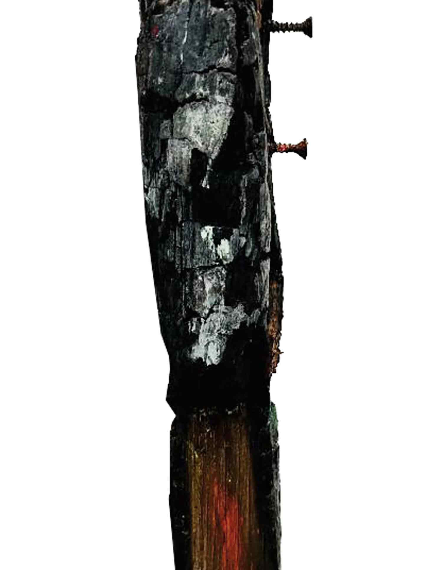 Jean-Claude Bonnifait, La demoiselle, Sculpture - Galerie de vente et d’achat d’art contemporain en ligne Artalistic