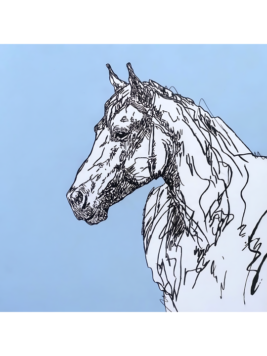 Élan - L’Âme du Cheval