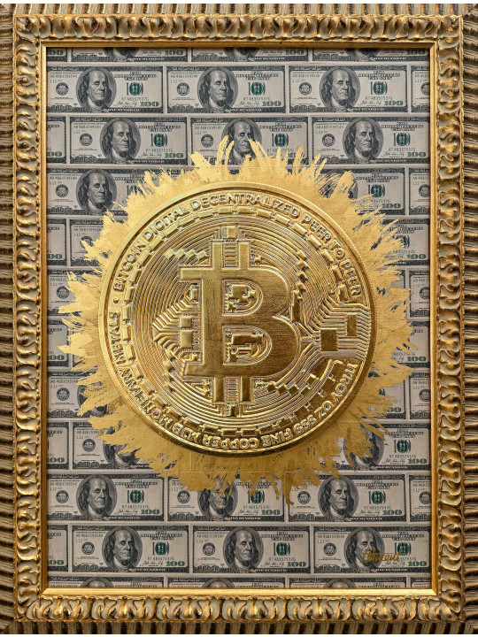 Dollars VS Bitcoin