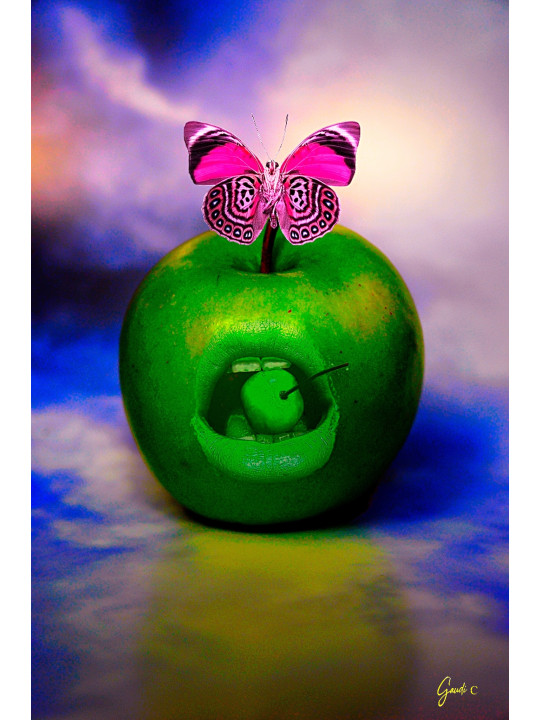 la-pomme-au-multiple-visage-selon-magritte