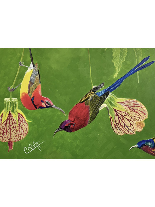 Les p'tits colibris