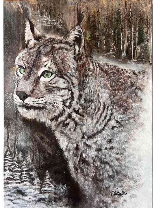 Le lynx, une présence rare