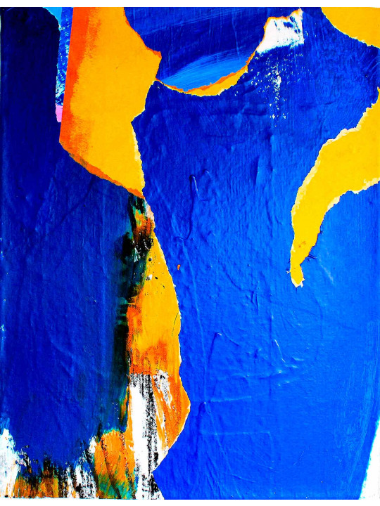LA FORCE DE LA COULEUR