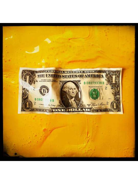 Dollar / Yellow