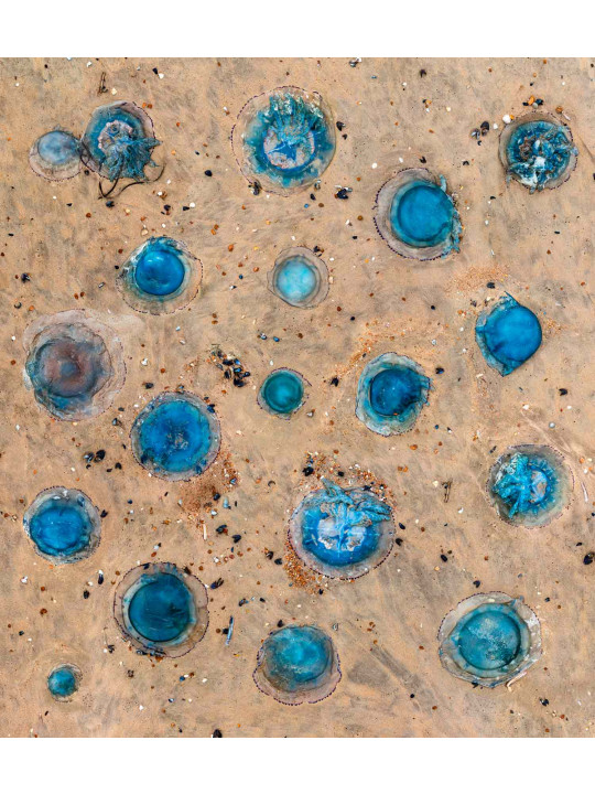 The World From Above - Blue Halos (1/10)