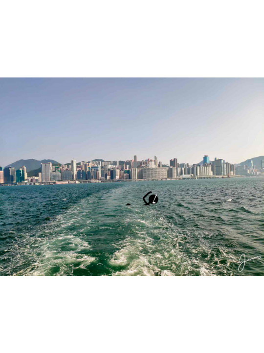 Échappée du Nageur Hongkongais