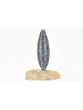 Marc Mugnier, Ovoïde étirée, sculpture - Galerie de vente et d’achat d’art contemporain en ligne Artalistic
