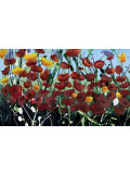 Claude Conte, Symphonie de fleurs, peinture - Galerie de vente et d’achat d’art contemporain en ligne Artalistic