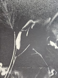 Stefano Mazzolini, RF3334, peinture - Galerie de vente et d’achat d’art contemporain en ligne Artalistic