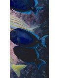 Patrick Chevailler, poissons chirurgiens, peinture - Galerie de vente et d’achat d’art contemporain en ligne Artalistic