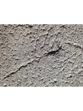 Sandrine Hartmann, Sans titre, peinture - Galerie de vente et d’achat d’art contemporain en ligne Artalistic