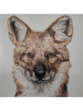 Lucile Maury, Dhole, dessin - Galerie de vente et d’achat d’art contemporain en ligne Artalistic