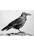 Lucile Maury, Grand corbeau, dessin - Galerie de vente et d’achat d’art contemporain en ligne Artalistic