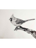 Lucile Maury, Cardinal, dessin - Galerie de vente et d’achat d’art contemporain en ligne Artalistic