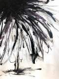 Marcela Zemanova, Black swan, dessin - Galerie de vente et d’achat d’art contemporain en ligne Artalistic