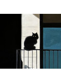 Mr Strange, Le vieil homme et ses chats, peinture - Galerie de vente et d’achat d’art contemporain en ligne Artalistic
