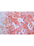 Isabelle Pelletane, La vie en rose, peinture - Galerie de vente et d’achat d’art contemporain en ligne Artalistic