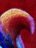 Françoise Augustine, Peanut, peinture - Galerie de vente et d’achat d’art contemporain en ligne Artalistic