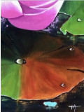 Françoise Augustine, Lis d'eau, peinture - Galerie de vente et d’achat d’art contemporain en ligne Artalistic