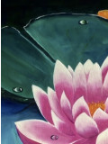 Françoise Augustine, Lis d'eau, peinture - Galerie de vente et d’achat d’art contemporain en ligne Artalistic