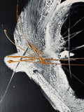 Yuuko Suzuki, Sans titre, peinture - Galerie de vente et d’achat d’art contemporain en ligne Artalistic