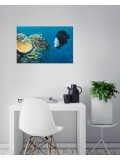 Patrick Chevailler, French Angel and corals, peinture - Galerie de vente et d’achat d’art contemporain en ligne Artalistic
