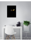 Mr Strange, Blackbird, edition - Galerie de vente et d’achat d’art contemporain en ligne Artalistic