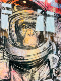 N.Nathan, Space Monkey, peinture - Galerie de vente et d’achat d’art contemporain en ligne Artalistic