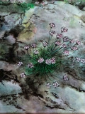 Muriel Besnard, aube rocailleuse, peinture - Galerie de vente et d’achat d’art contemporain en ligne Artalistic