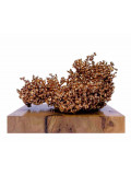 Atelier Sibuet, ⁽¹³ ˣ ²⁹⁾², sculpture - Galerie de vente et d’achat d’art contemporain en ligne Artalistic