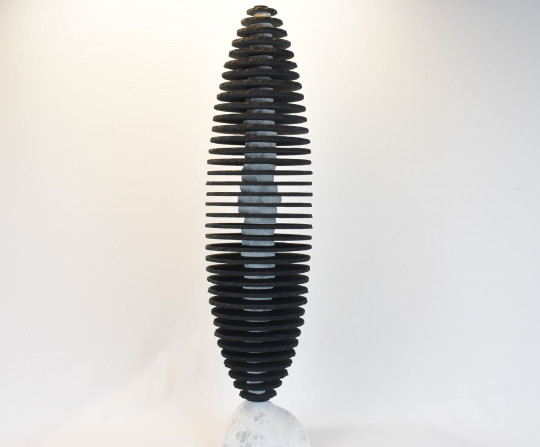 ZÉNITUDE NOIRE ET BLANCHE ÉTHÉRÉE
