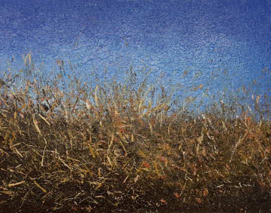 Fragments de nature