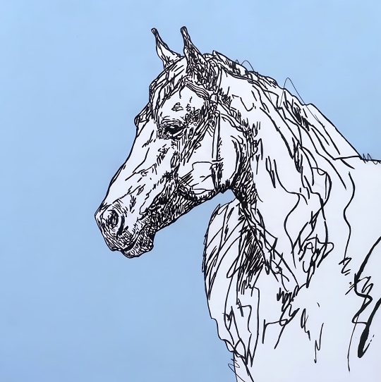 Élan - L’Âme du Cheval