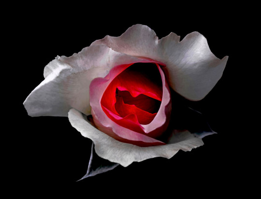 Passion