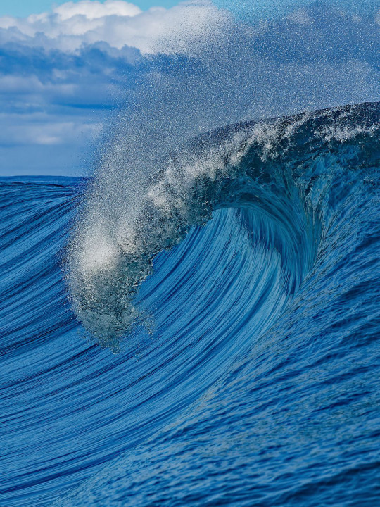 La crête de la vague à un côté animal