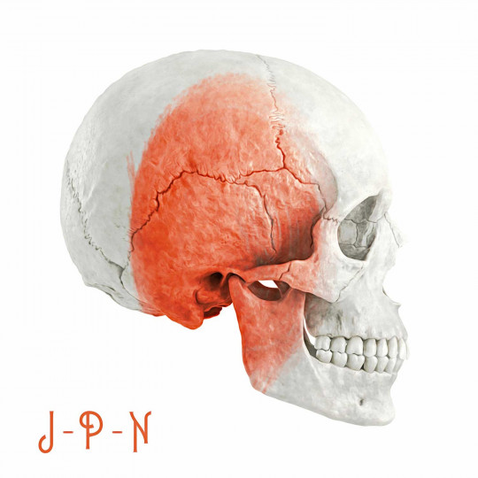 Skull Japan
