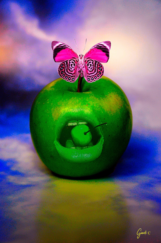 la-pomme-au-multiple-visage-selon-magritte