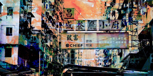HONG KONG SIGNS XIV